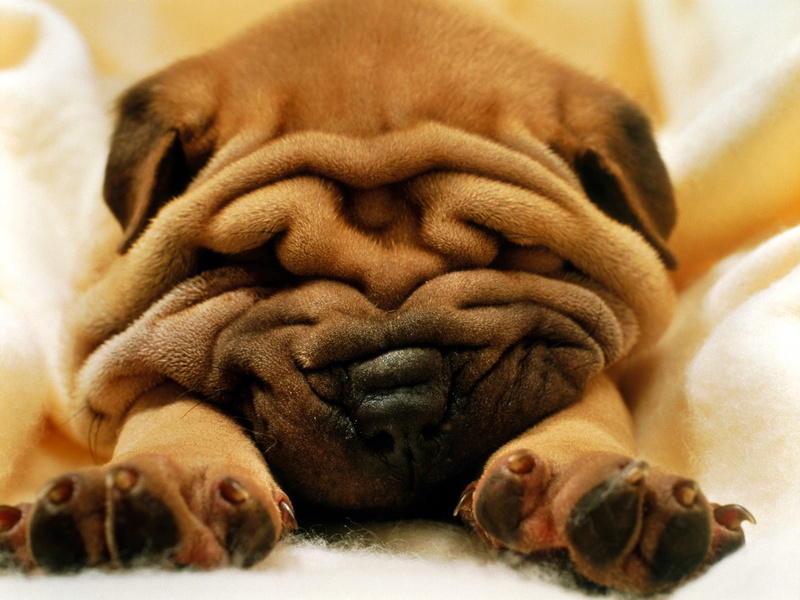 mr, 720P, wrinkles