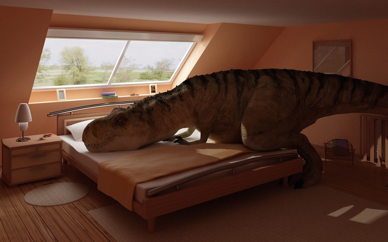 animal, animal themes, domestic, furniture, no people, indoors, dinosaurs, window, glass - material, chair, vertebrate, bed, pets, table, day, one animal