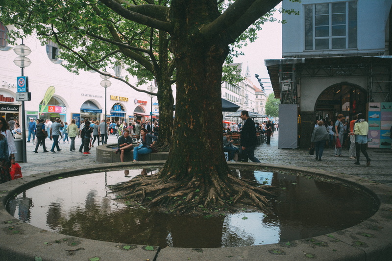 group of people, plant, lifestyles, leisure activity, street, germany, large group of people, built structure, münchen, building exterior, city life, tree