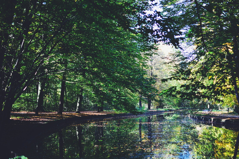 no people, tranquility, nymphenburg palace, nature, foliage, forest, outdoors, 5K, münchen, day, tranquil scene, scenics - nature, architecture, lake