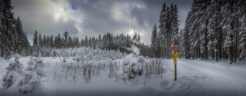 frozen, canon, coniferous tree, beauty in nature, nature, pine tree, cloud - sky, 8K, snow, tranquility, forest, šumava national park, plant, panorama