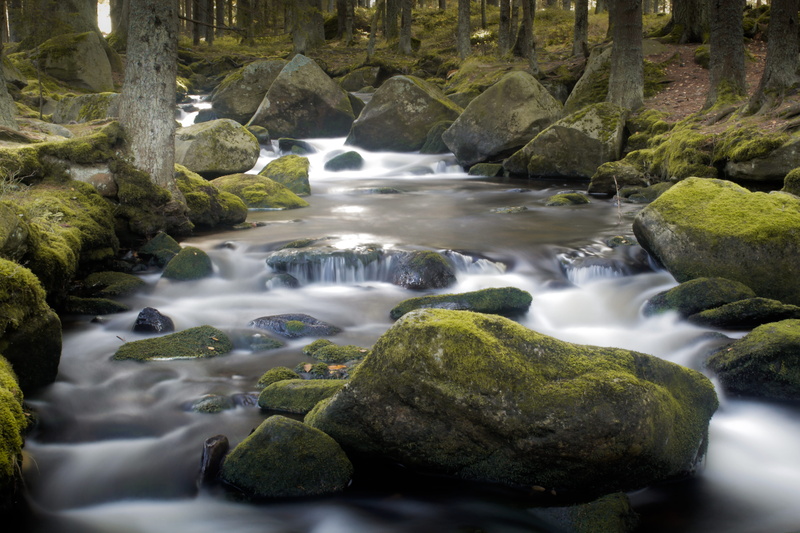 stream - flowing water, blurred motion, plant, moss, nature, forest, day, flowing water, tree, czechia, river, no people, scenics - nature, motion, canon