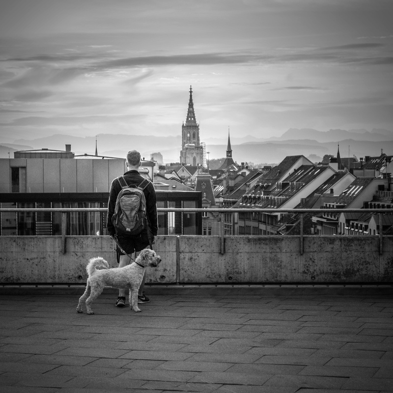 man, leash, one man only, münster, cold, mammal, built structure, good, architecture, mood, dog, full length, white dog, men, distant, backpack, sunrise