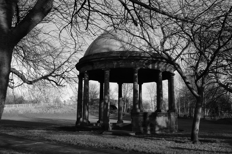 day, tree, no people, the past, field, architecture, branch, built structure, sky, plant, trunk, rotunda, background, outdoors, land, 4K, old, history