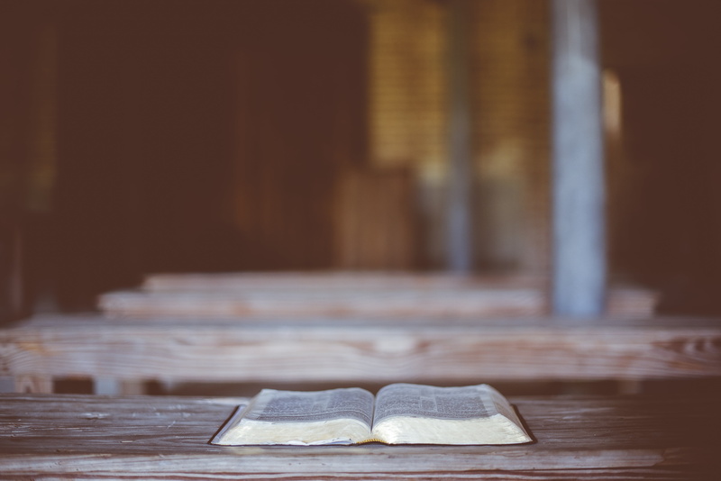 absence, food, wooden, temptation, no people, log, blur, open, food and drink, texture, religion, table, day, still life, rustic, baked, book, antique