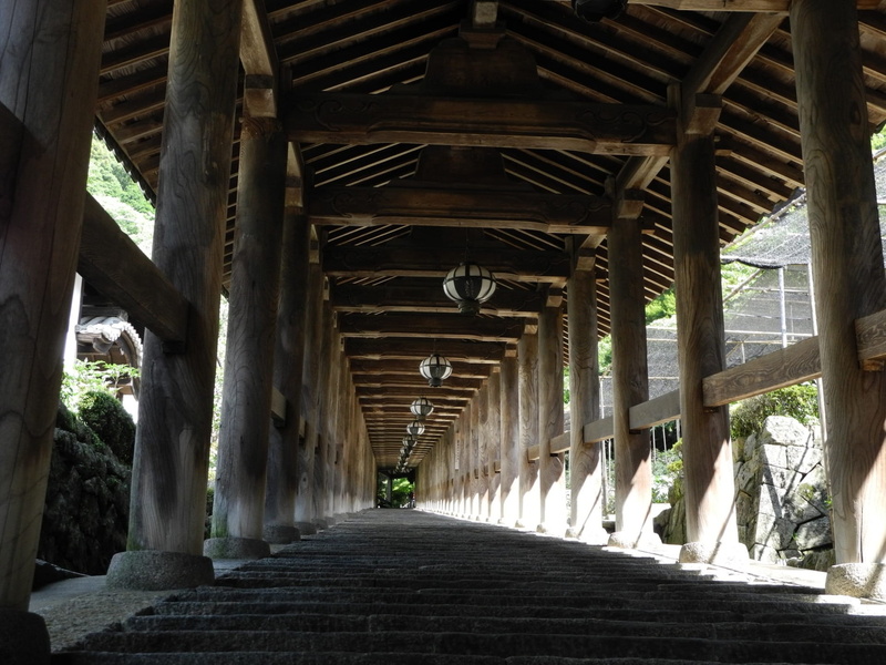tree, stairs, beams, diminishing perspective, plant, day, direction, wooden, the way forward, colonnade, architectural column, bridge, perspective, footpath