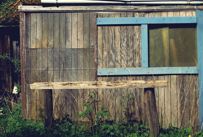 building exterior, architecture, leave, damaged, old, barn, nature, wood, obsolete, wooden beams, window, cabin, plant, log cabin, house, building, no people