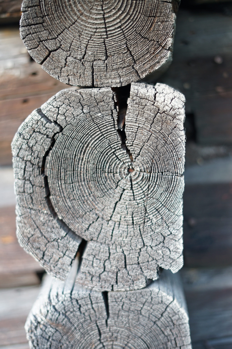 village, wood - material, timber, close-up, tree, building, no people, rustic, house, outdoors, 5K, concentric, construction, countryside, natural pattern