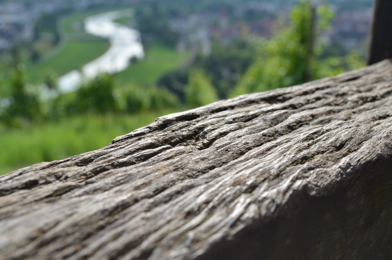 Macro, selective focus, tranquility, wooden beams, wood - material, tree, Fibres, beauty in nature, rough, close-up, plant, landscape, Beams, wood fibres