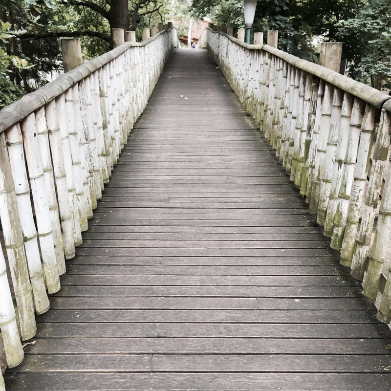 wooden bridge, no people, outdoors, bridge - man made structure, long, wood - material, narrow, empty, built structure, diminishing perspective, plant