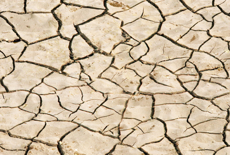 environment, extreme terrain, outdoors, fragmented, full frame, soil, cracked, dry, dried, sand, nature, photo, backgrounds, mud, no people, 2K, field