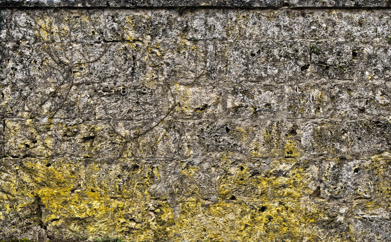 weathered, wall - building feature, lichen, stone, gray, background, grain, textured, 5K, structure, texture, yellow, close-up, backgrounds, rough, textured effect