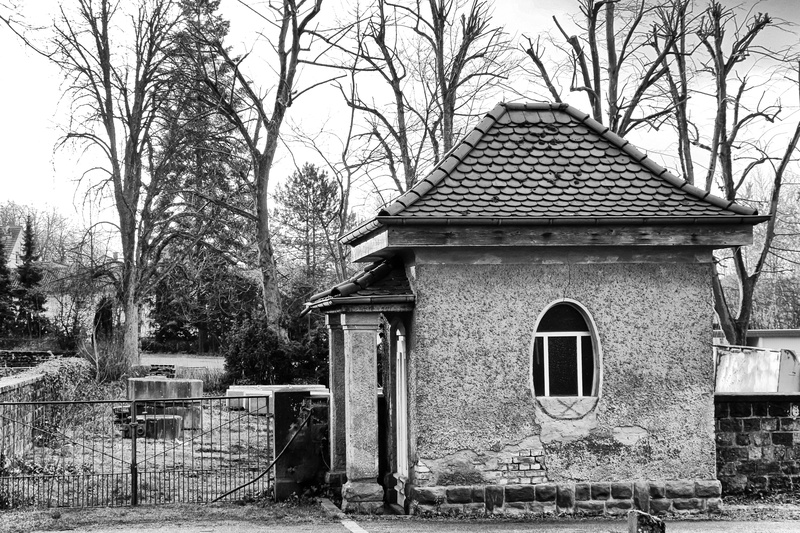 plant, the past, built structure, bare tree, belief, leave, cottage, history, broken, old building, house, spirituality, brittle, window, nature, run down