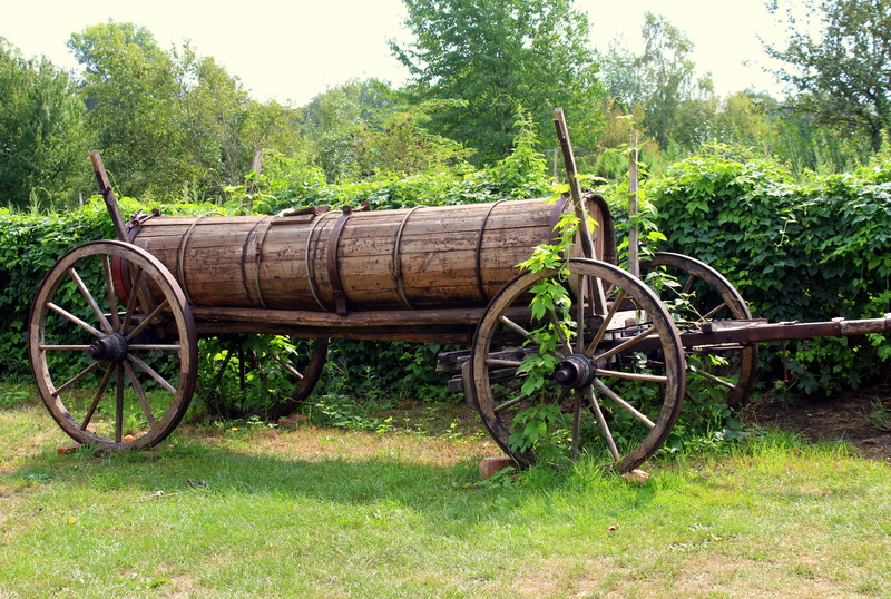 field, old, village, abandoned, grass, nature, 4K, wooden, museum lehde, plant, green color, cart, no people, historic, growth, tranquility, day, wood - material