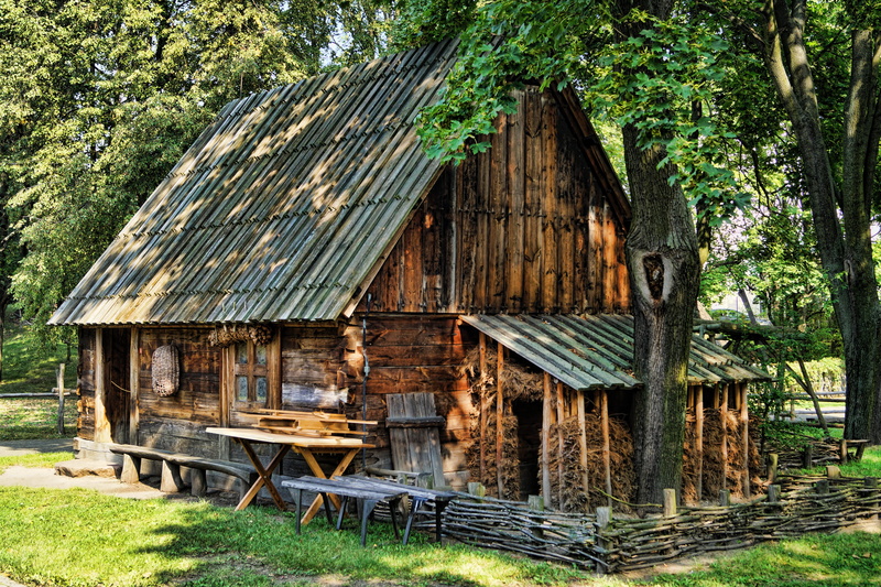 hut, forest, no people, monument, plant, old, rural architecture, Open Air Museum, wood - material, green color, window, Green, rural cottage, tree, house
