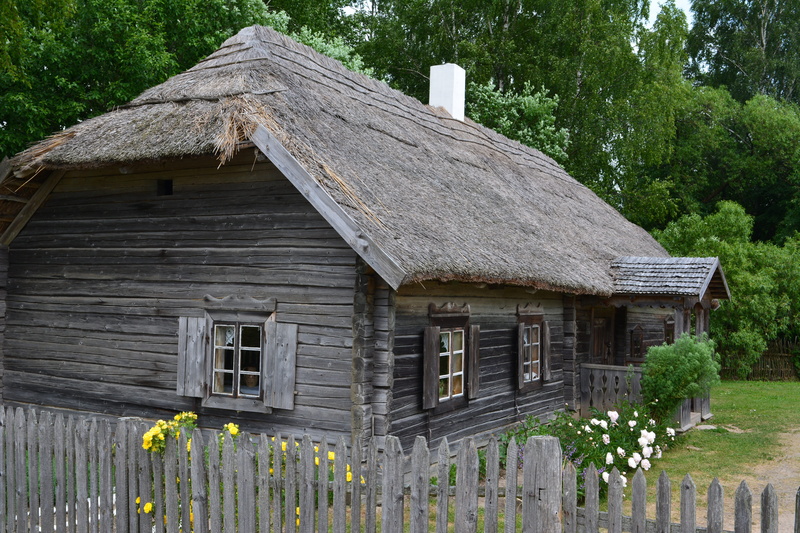 tree, Open Air Museum, rumsiskes, Lithuania, growth, architecture, Museum, house, residential district, cottage, land, plant, roof, village, green color