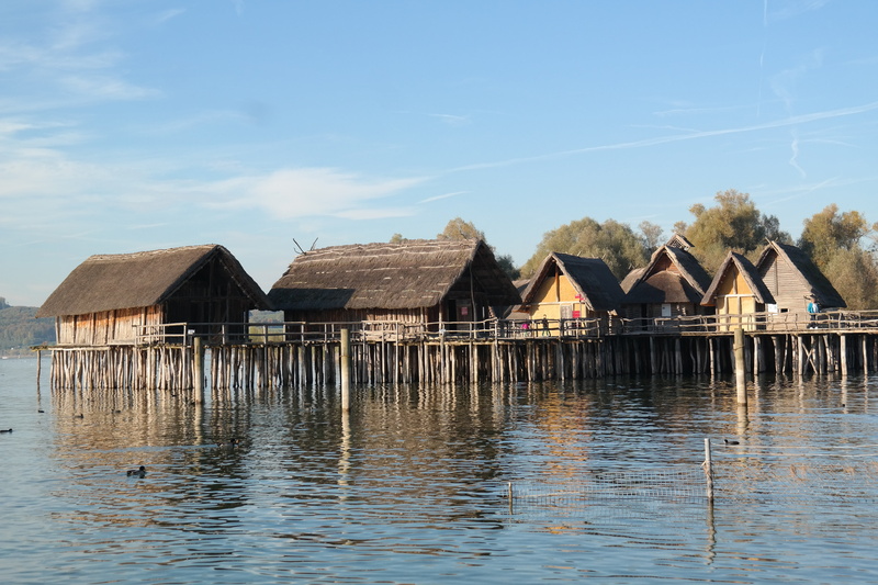residential district, waterfront, stilt village, house, open air museum, pile dwelling museum unteruhldingen, lake, homes, day, stilt house, unteruhldingen