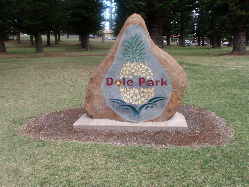 park - Man Made Space, grass, day, rock statue, sculpture, lanai, dole park, Statue, plant, human representation, communication, Lanai City, growth, hawaii