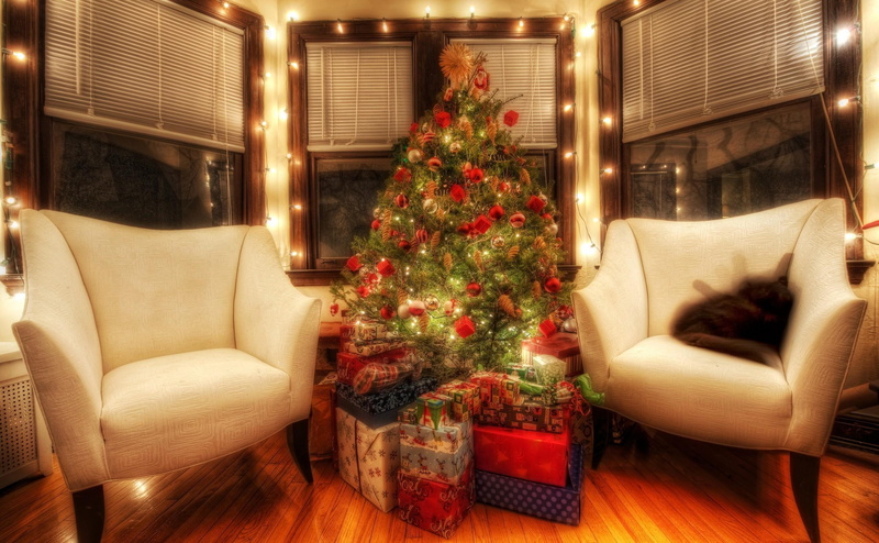 chair, holiday - event, leather, furniture, christmas, decor, christmas Present, lighting Equipment, christmas Tree, decoration, two, decorations, tree