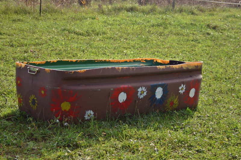 painted, colorful, environmental issues, garbage bin, coupling, grass, no people, Animals, nature, field, Water, day, land, green, sunlight, abandoned