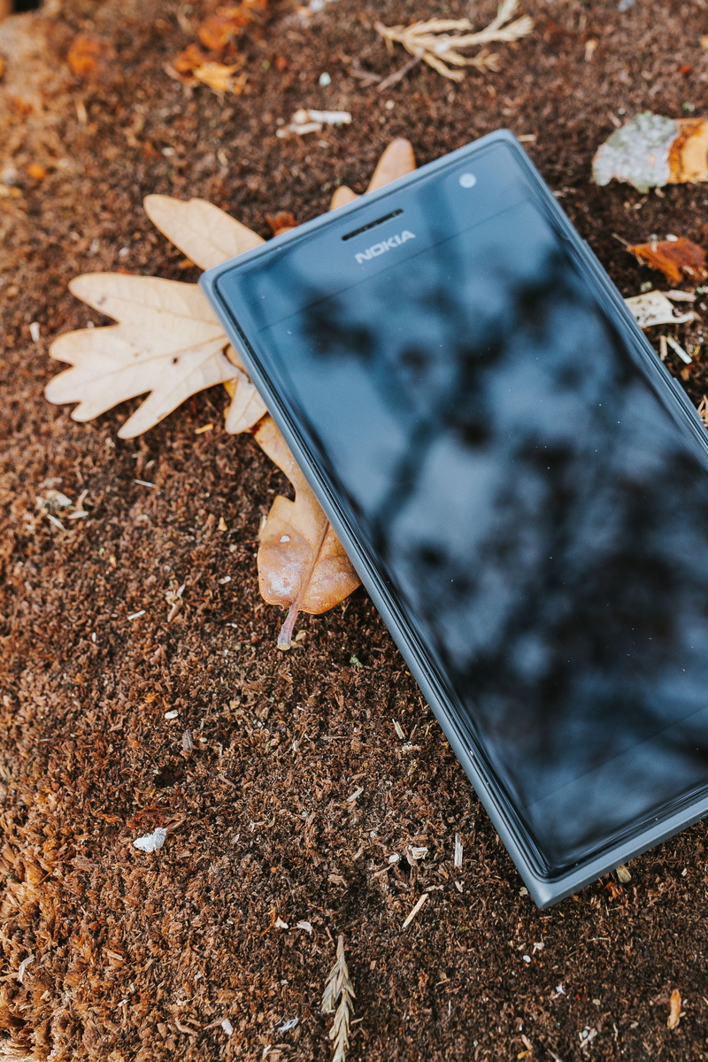 leaves, still life, phone, smartphone, day, freshness, close-up, food, no people, field, communication, autumn, outdoors, ground, mobile, nature, 2K, technology