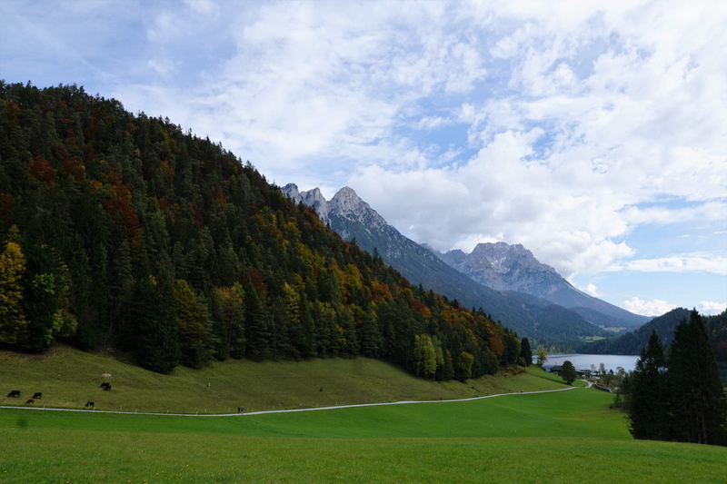 green, golf course, climb, luck, tree, mountain, 5K, holiday, rest, mountains, sporty, snow, green - golf course, tranquility, golf, outdoors, idyll, sky