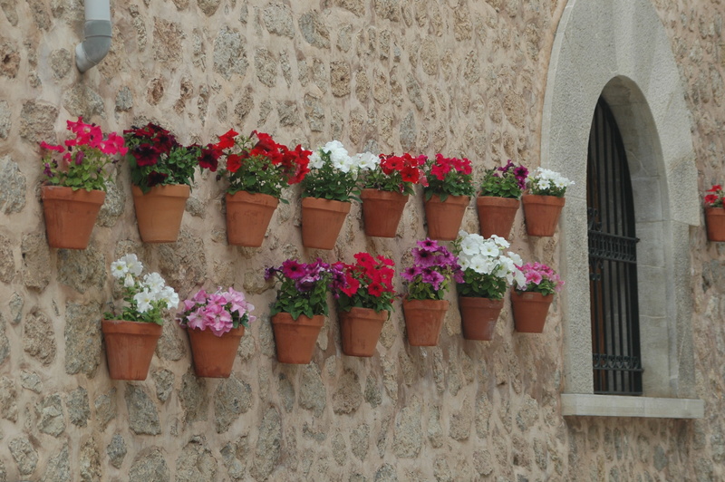 fouling, plant, stone, no people, nature, wall - building feature, outdoors, day, window, flower pot, 2K, wall, summer, building exterior, flowers, freshness