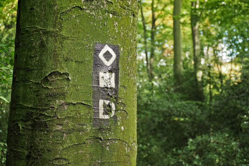 idyll, bark, relaxation, rest, close-up, land, old tree, plant, indicator, no people, quiet, outdoor, migratory character, communication, Strains, outdoors