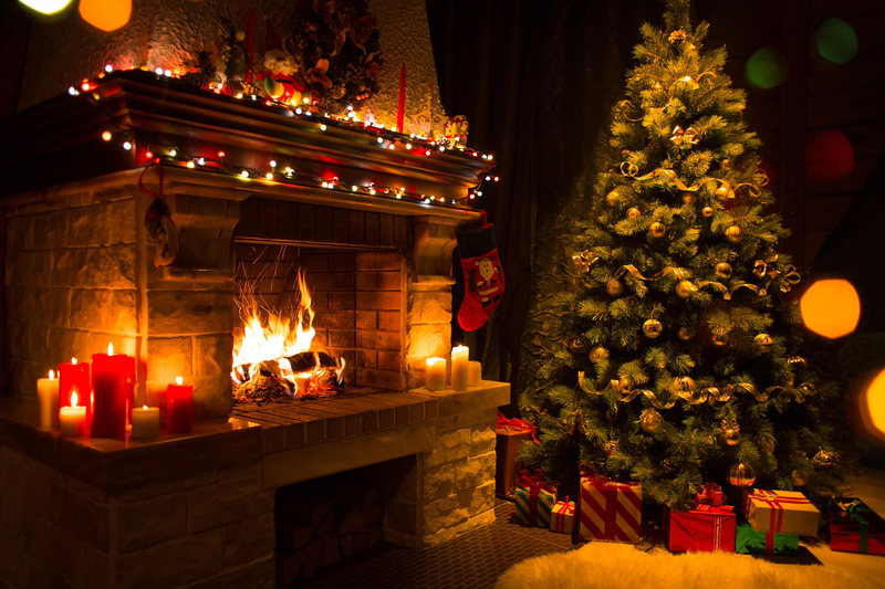 plant, illuminated, no People, New year, 4K, nature, december, candles, brown, red, garland, holiday, new Years Eve, fire - Natural Phenomenon, christmas Ornament