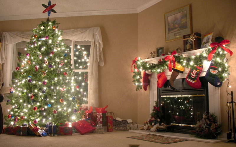 gift, christmas Present, christmas Tree, plant, coniferous tree, tree, green, christmas Decoration, home Interior, holiday - event, domestic Room, nature