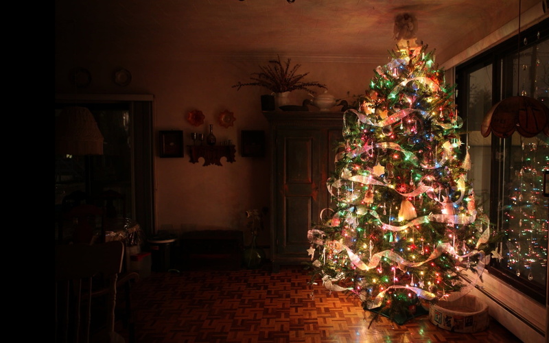 christmas Lights, electric lamp, celebration, decoration, illuminated, decor, green, christmas Tree, lighting Equipment, home Interior, holiday, holiday - event