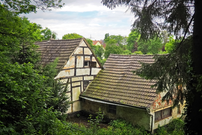 building exterior, masonry, residence, decay, built structure, mystical, 4K, plant, mysterious, outdoors, facade, dilapidated, land, passed, house, break up