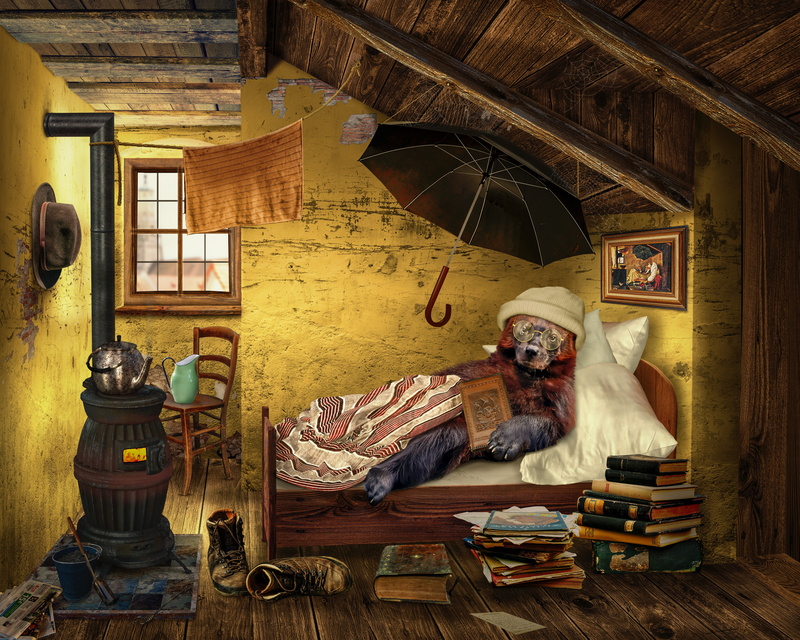 window, home interior, live, frame, digital, furniture, mammal, history, art and craft, clothing, 5K, architecture, tribute to carl spitzweg