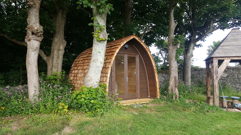 building, 5K, forest, growth, day, Annex, trunk, no people, cabin, wood - material, garden, tree, office, wood, green color, building exterior, outdoors