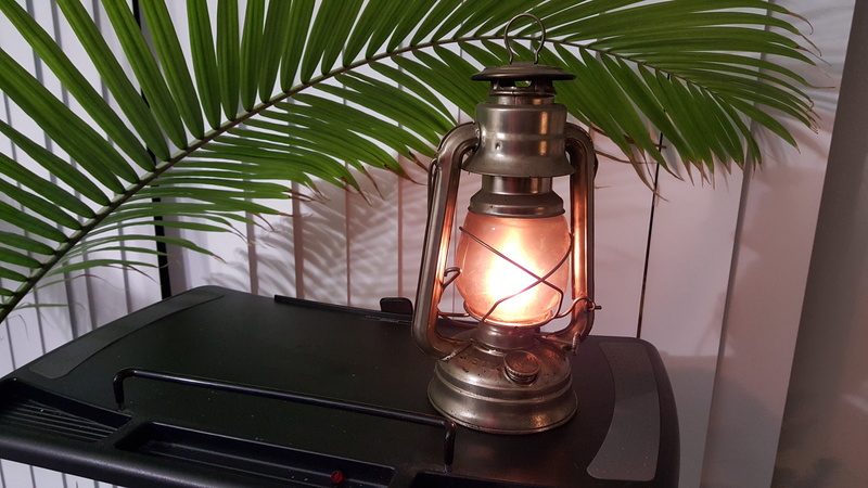 light, illuminated, plant part, 5K, no people, leaf, tree, close-up, growth, indoors, palm tree, plant, flame, palm leaf, fire - Natural Phenomenon, table