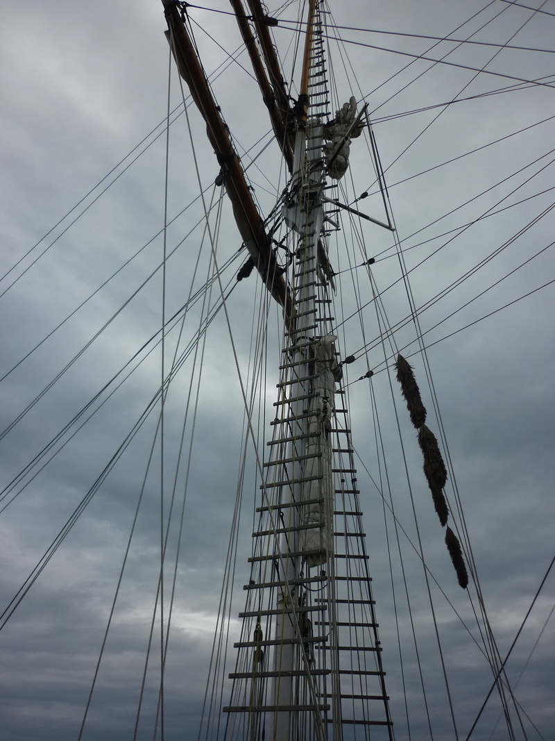 rope, cable, nature, low angle view, adelaide, 1080P, outdoors, power supply, pole, connection, no people, nautical vessel, sailing, day, sailing ship