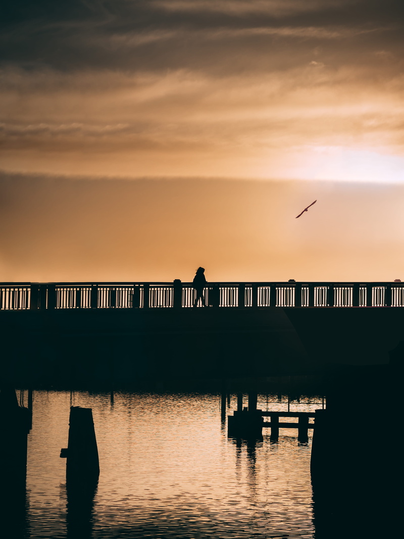 built structure, adventure, animals in the wild, bird, port adelaide, vertebrate, bridge, orange color, waterfront, nature, urban, sunset, explore, sea