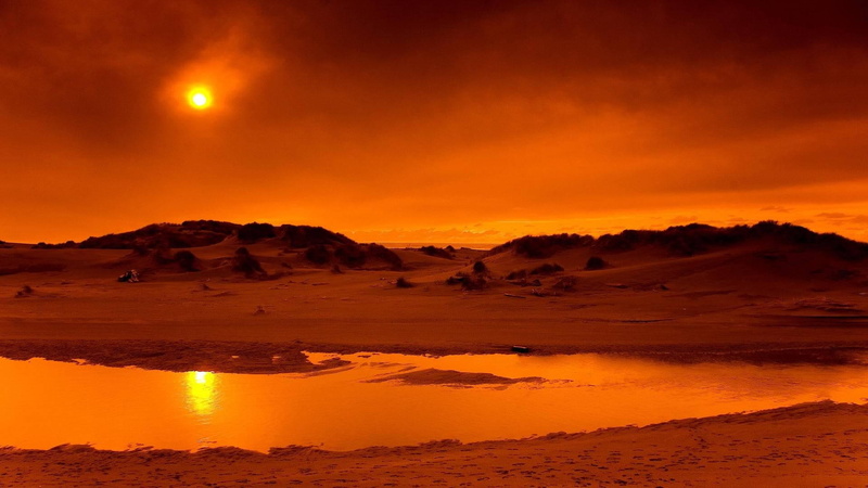 autumn, 1080P, nature and landscapes, night, desert, autumn desert, nighttime