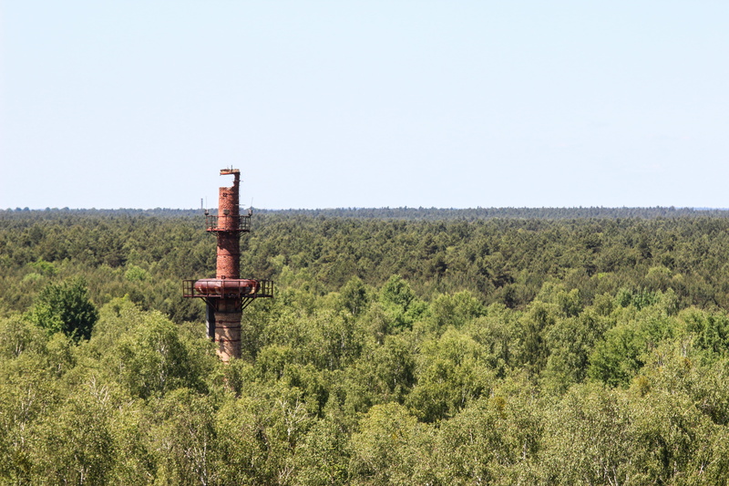 pollution, forest, plant, abandoned, broken, environment, brickstone, land, tranquility, bush, nature, germany, hydrant, day, no people, woodland, old