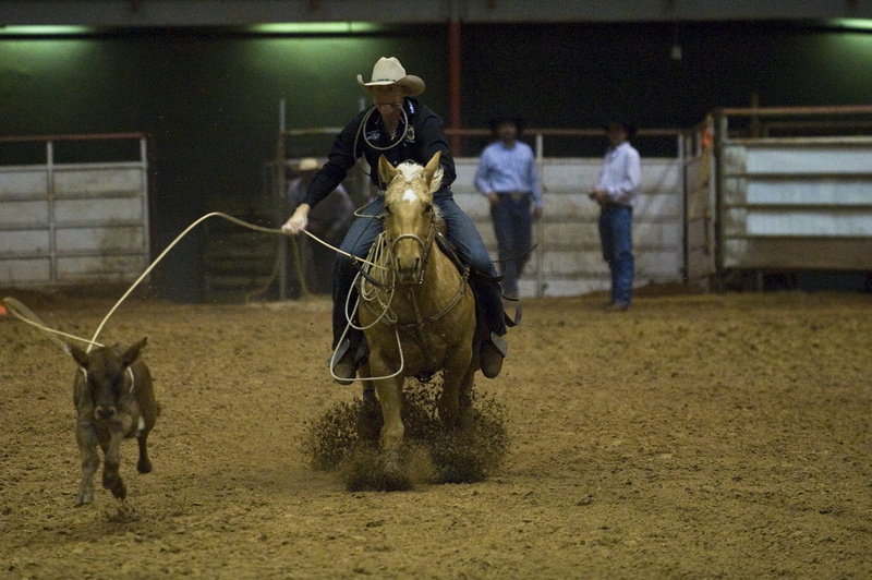 activity, adult, group of people, rider, incidental people, ride, 1080P, thrill, bizarre, clothing, deadly, walking, one animal, bull, people, domestic animals