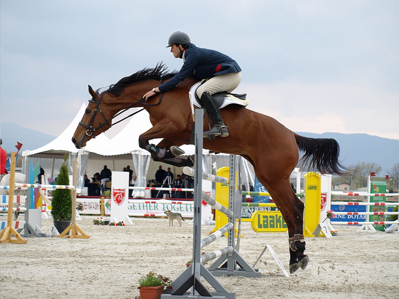 real people, in air, animal, domestic animals, pets, Horseback Riding, nature, leaping, 2K, outdoors, competition, horse, herbivorous, activity, livestock