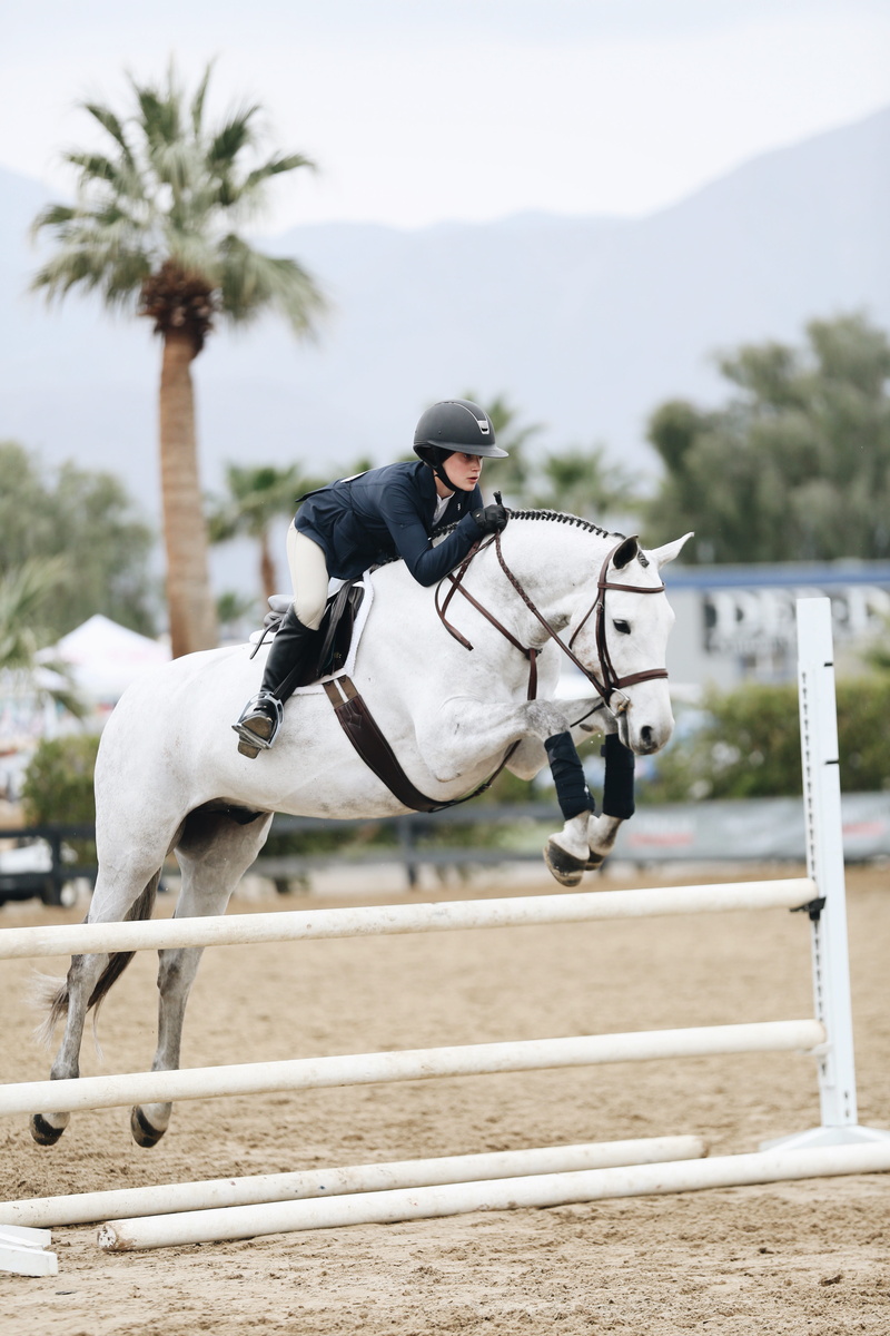woman, action, herbivorous, nature, vertebrate, day, horseback riding, horse rider, white horse, blurred background, sport, wear, stallion, equine, show