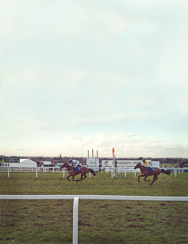 boundary, cloud - sky, fence, livestock, brown, pets, equestrian, running, racehorse, track, race, grunge, barrier, sky, day, horse, bet, determination