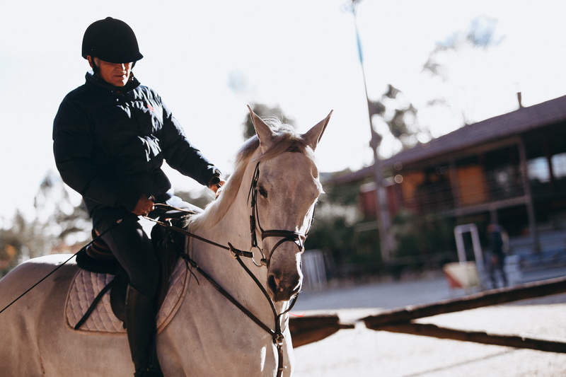 wear, blur, bridle, ride, horse rider, man, recreation, riding, domestic, animal, equestrian, herbivorous, saddle, real people, animal wildlife, adult