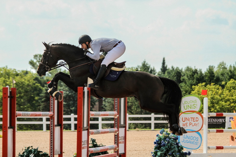animal, speed, action, horse, horseback riding, race, equine, jump, day, outdoors, sport, photo, jumping, domestic, saddle, pets, domestic animals, animal wildlife