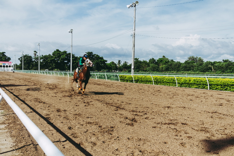 cloud - sky, one person, day, person, outdoors, one animal, full length, ride, horse rider, real people, mare, photo, equine, domestic animals, riding
