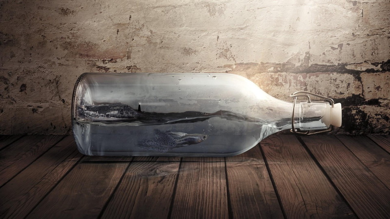 no people, fish, bottle, fantasy world, wooden floor, misfortune, weathered, fun, single object, obsolete, indoors, water, digital art, broken, old, fantasy art