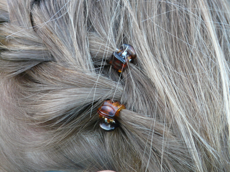 pets, no people, mammal, domestic, Hair, person, spaengchen, Weave, head, hairstyle, livestock, domestic animals, animal hair, horse, animal, blond hair