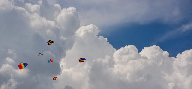 wind, cloud - sky, flying, freedom, azure sky, adventure, day, balloon, singapore, parachute, animal, blue, no people, gliding, multi colored, 4K, clouds