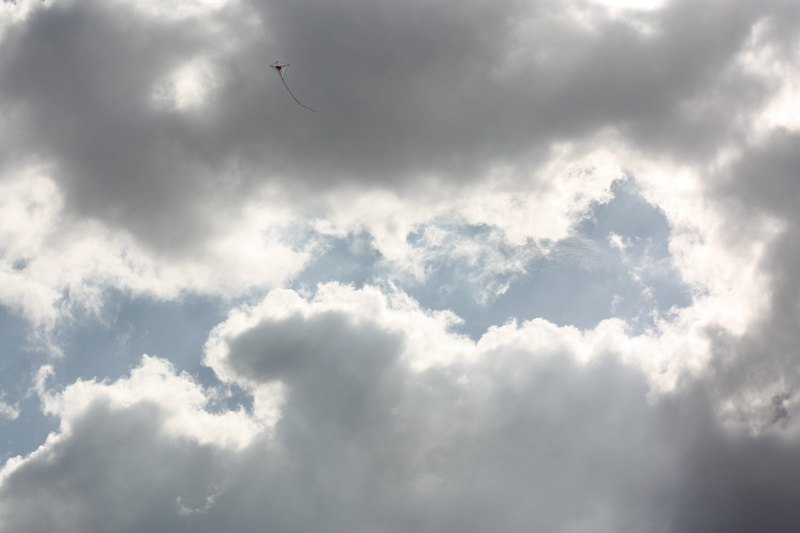 low angle view, beauty in nature, flying, 4K, flag, light, cloudscape, clouds, softness, bird, animal, no people, cloud, toy, outdoors, mid-air, adventure